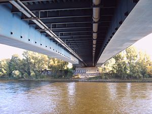 Neue Strombrücke Magdeburg 2.JPG