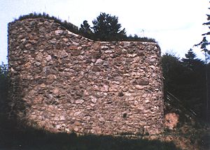 Burg Neuenstein, Schildmauer