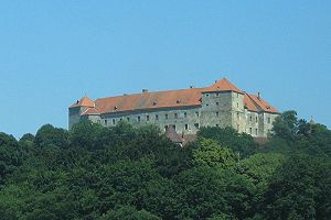 Burg Neulengbach von Westen