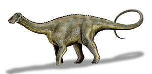 Zeichnung von Nigersaurus
