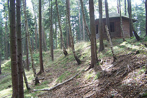Der Gipfelbereich mit Schutzhütte und Grabenresten (2009)