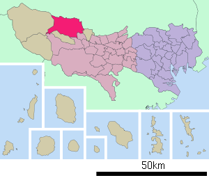 Lage Ōmes in der Präfektur