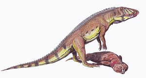 Der carnivore Ornithosuchus (Crurotarsi) und seine Beute Hyperodapedon (Rhynchosauria), beides Angehörige der Archosauromorpha