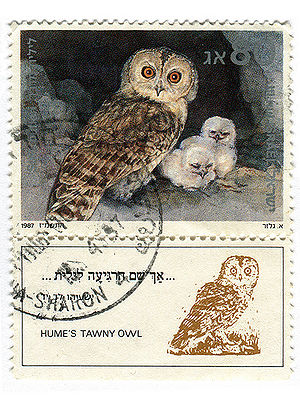 Fahlkauz auf einer israelischen Briefmarke