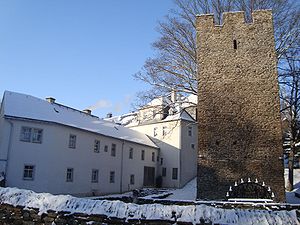 Paßklausenturm und Rittergut Tannenberg