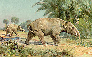 Palaeomastodon, Darstellung von Heinrich Harder (1912)
