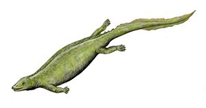 Paraplacodus Lebendrekonstruktion