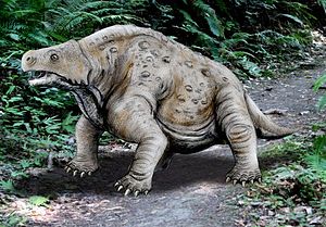 Pareiasaurus aus dem Mittelperm