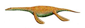 Pistosaurus