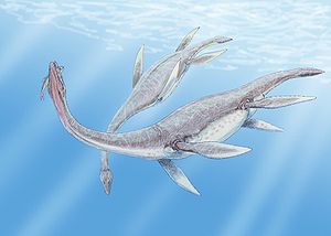 Lebendrekonstruktion von Plesiosaurus