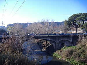 Ponte salario antico.JPG