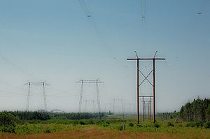 Das Kernkraftwerk Point Lepreau (links) mit den davon abgehenden Stromleitungen