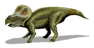 Lebendrekonstruktion von Protoceratops