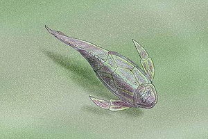 Pterichthyodes milleri