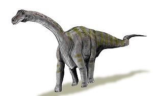 Lebendrekonstruktion von Rapetosaurus