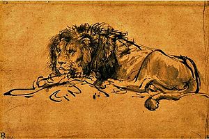 Kaplöwe (Panthera leo melanochaitus), Zeichnung von Rembrandt van Rijn