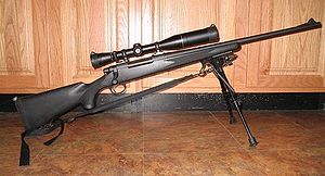 Remington Model 700.jpg