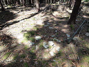 Mauerwerksreste finden sich verteilt auf dem Waldboden