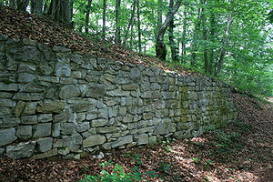 Riniken Iberg Burgmauer 8028.jpg
