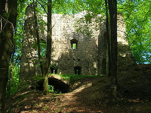 Burgruine Roßstein – Ansicht der Wohnturmruine aus südwestlicher Richtung