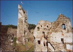 Ruine Schaunberg - Bergfried und Palas