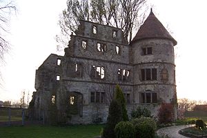 Ruine Vernaburg.jpg