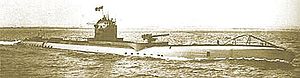 SM U 135 at sea.jpg