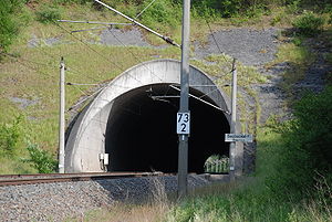 Saubuckeltunnel