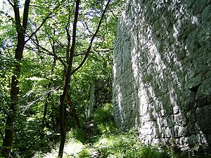 Die Mauern der Ruine Scharfeneck im Wald bei Baden