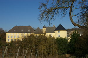 Schloss Thorn, Palzem