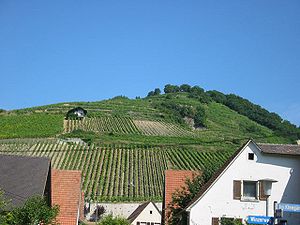 Schlossberg vom Dorf Achkarren im Tal aus gesehen