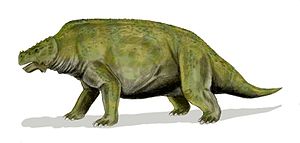 Lebendrekonstruktion des Pareiasauriers Scutosaurus karpinskii