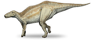 Shantungosaurus, Lebendrekonstruktion