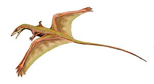 Sharovipteryx, Lebendrekonstruktion