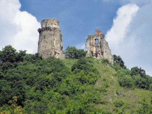 Blick auf die Burgruine