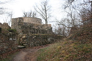 Burgruine Tannenberg