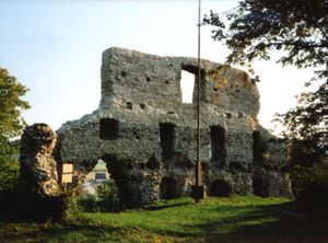 Ruine der Stapelburg (September 2003)