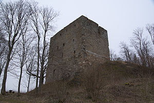 Burgruine Straufhain