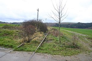 Strecke bei Saalburg 2006