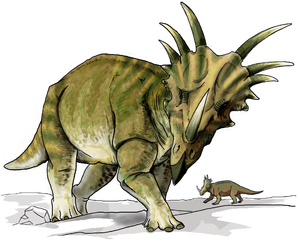 Styracosaurus, Lebendrekonstruktion