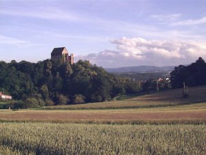 Die Burg Świny (2004)