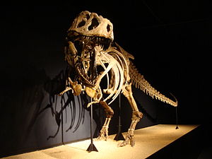 Rekonstruiertes Skelett im CosmoCaixa, Barcelona