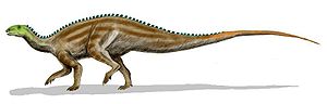 Tenontosaurus tilletti