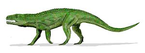 Teratosaurus suevicus