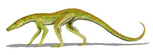 Terrestrisuchus