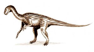 Zeichnerische Darstellung von Thecodontosaurus