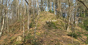 Turmhügel (Motte) von Südwesten