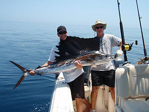 Zwei Sportfischer vor der Küste Floridas halten einen frisch gefangenen Fächerfisch.
