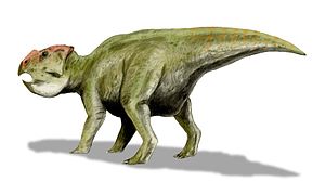 Lebendrekonstruktion von Udanoceratops tschizhovi