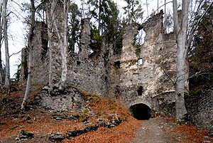 Ruine Aichelberg im Jahr 2007